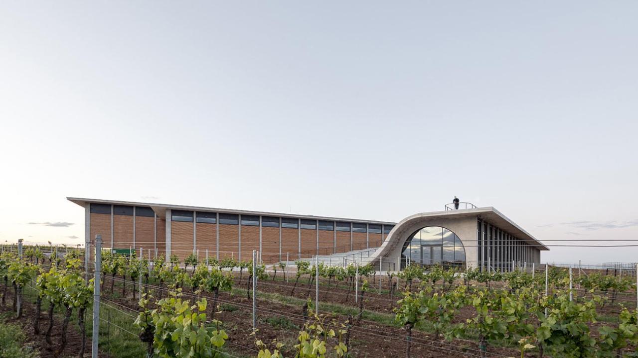 Wine House Znojmo Villa Exteriör bild